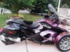 Shy-Shy's Spyder
