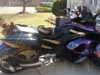 Shy-Shy's Spyder