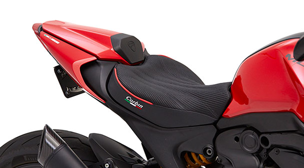 Ducati Monster Plus