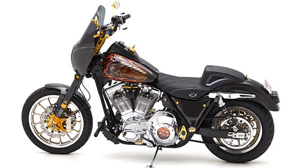 HD FXR models