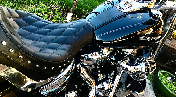 Rider Photo