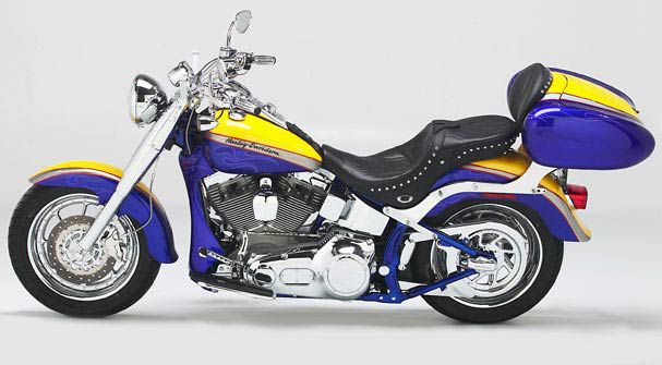 HD Softail