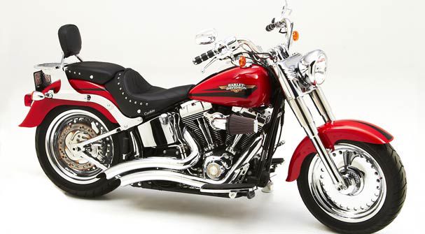 HD Softail