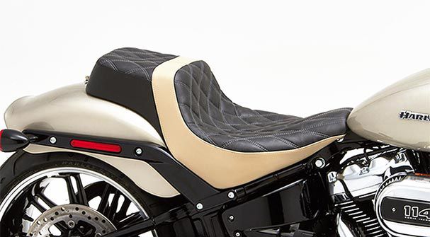 HD Softail