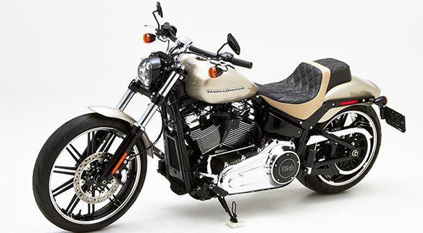 HD Softail