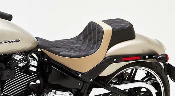 HD Softail