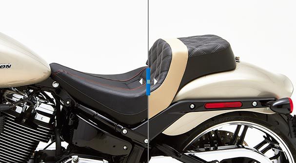HD Softail
