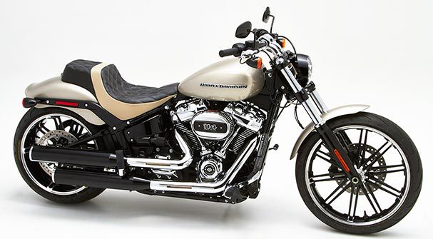 HD Softail