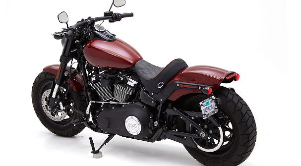 HD Softails