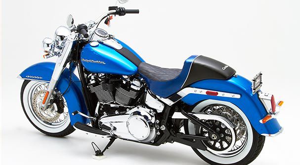 HD Softail