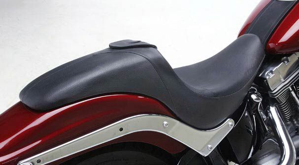 HD Softail