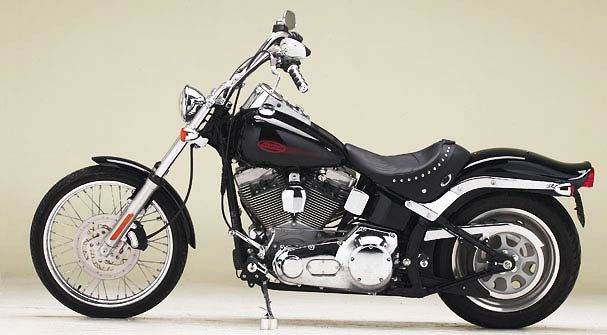 HD Softail