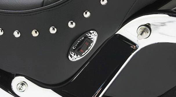 HD Softail