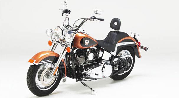 HD Softail