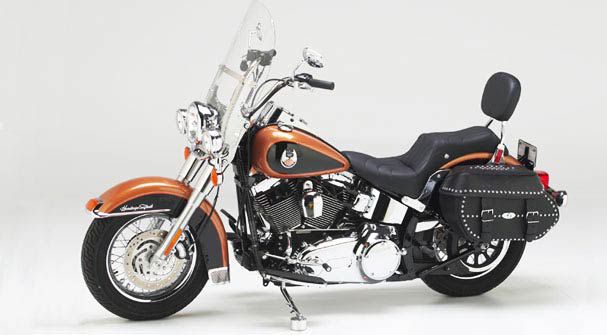HD Softail