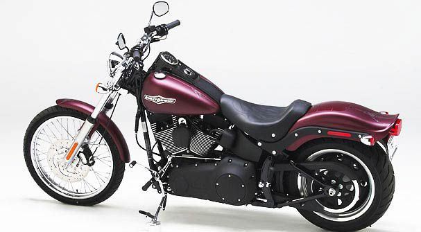 H-D Softails