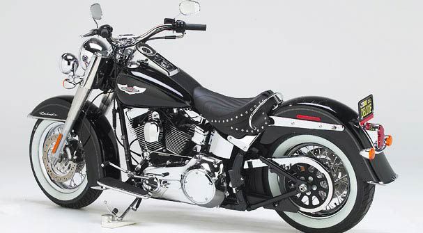 HD Softail