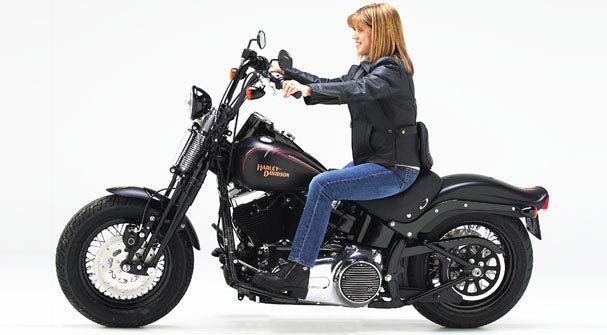 H-D Softail