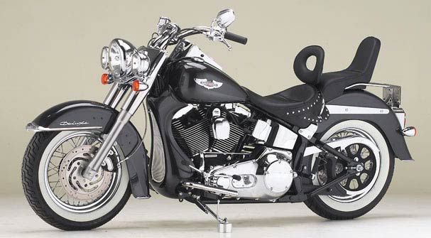 HD Softails