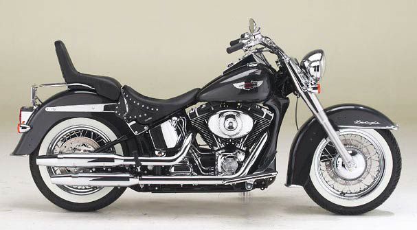 HD Softails