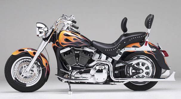 HD Softails