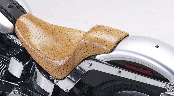 HD Softails