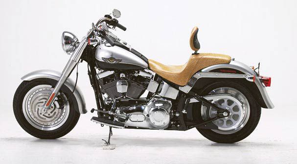 HD Softails