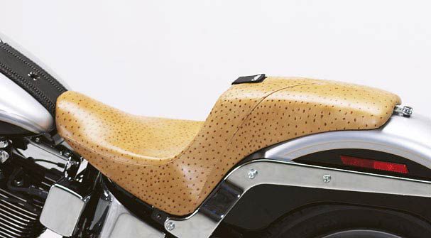 HD Softails