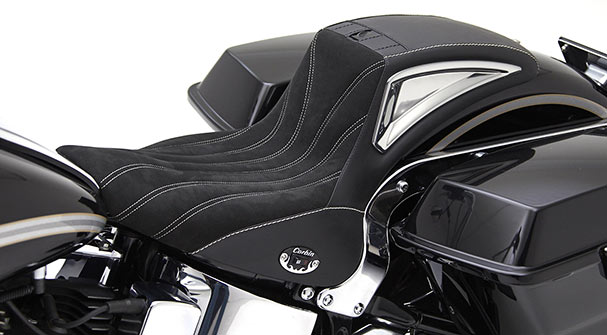 HD Softails