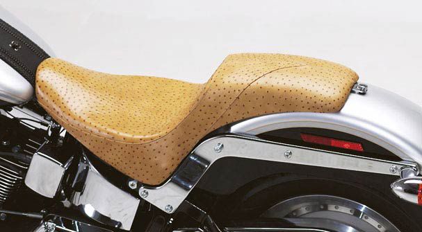 HD Softails
