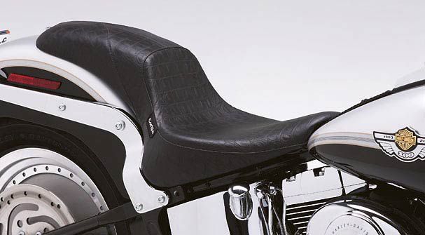 HD Softails