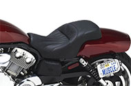 Dual Saddle