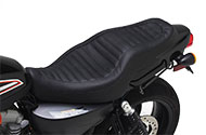 Dual saddle