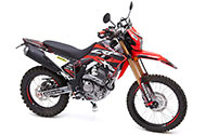 CRF 300L
