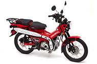 Trail 125