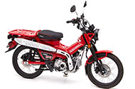 Trail 125