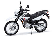 2023 - 2026 XR 150L