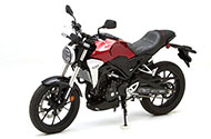 2019 - 2026 CB 300 R