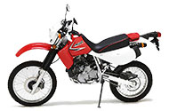 1993 - 2026 XR 650L