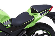 2013-2017 Ninja 300 R