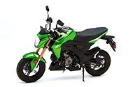 2017-2026 Z125