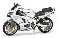 ZZR Models