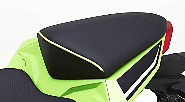 Ninja 300