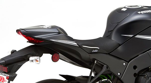 Kawasaki Ninja 1000