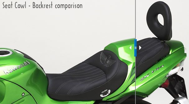 Kawasaki ZX-14