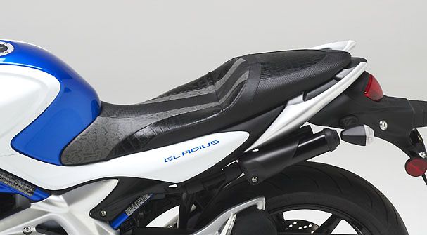 Suzuki Gladius