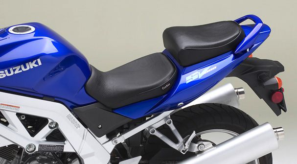 Suzuki SV 1000