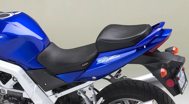 Suzuki SV 1000