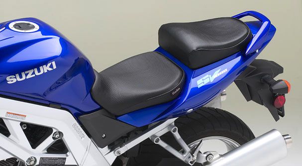 Suzuki SV 1000