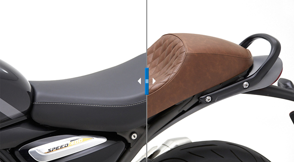 Speed 400 & Scrambler 400 X